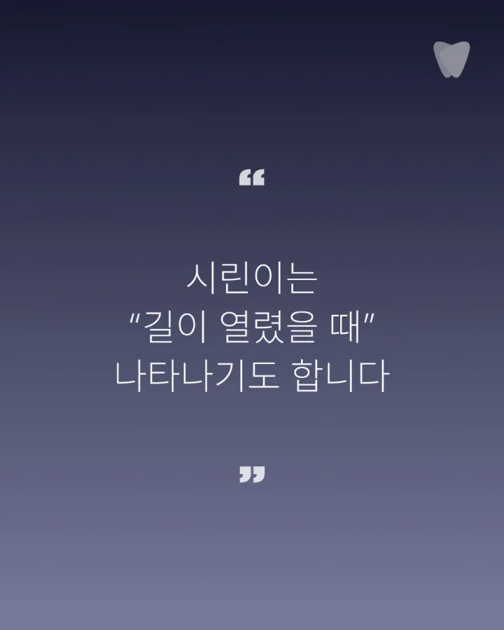 이미지 카드 · 치아 시림이 주는 메시지