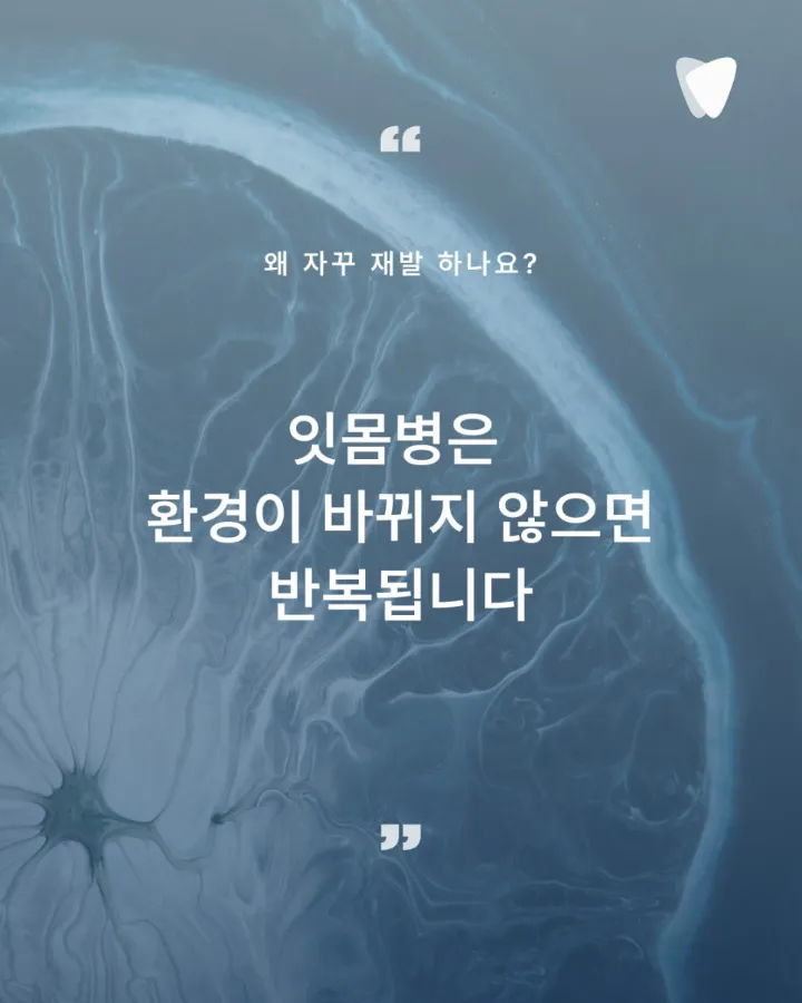 이미지 카드 · 잇몸병은 왜 재발할까? 치료보다 중요한 것, 잇몸을 오래 쓰는 설계
