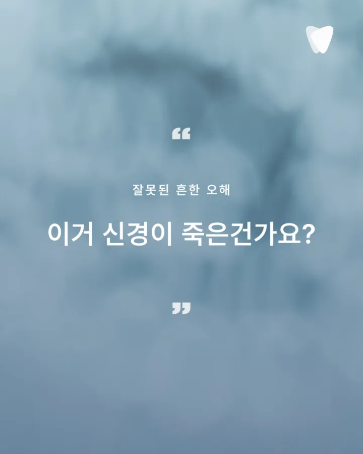 이미지 카드 · 치아가 조용히 말을 거는 방식 — 색이 바뀐다는 것의 의미