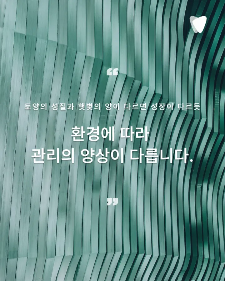 이미지 카드 · 운정 뿌리사랑치과 임플란트 철학 — 심는 날이 시작인 이유