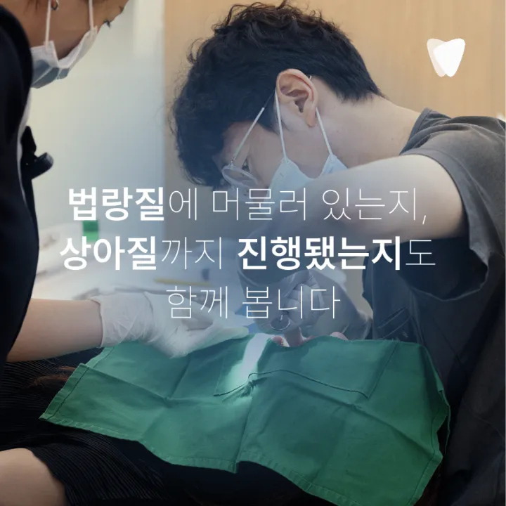 이미지 카드 · 초기 충치, 바로 치료할지 지켜볼지 결정하는 기준