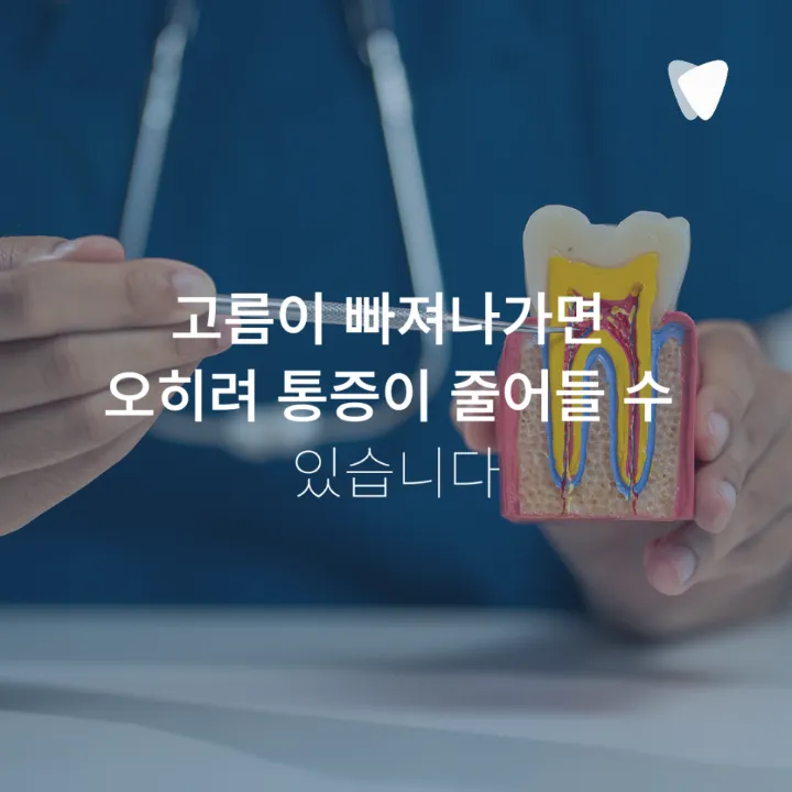 이미지 카드 · 뿌리 끝에 염증이 있는데 고름길이 반복되는 이유
