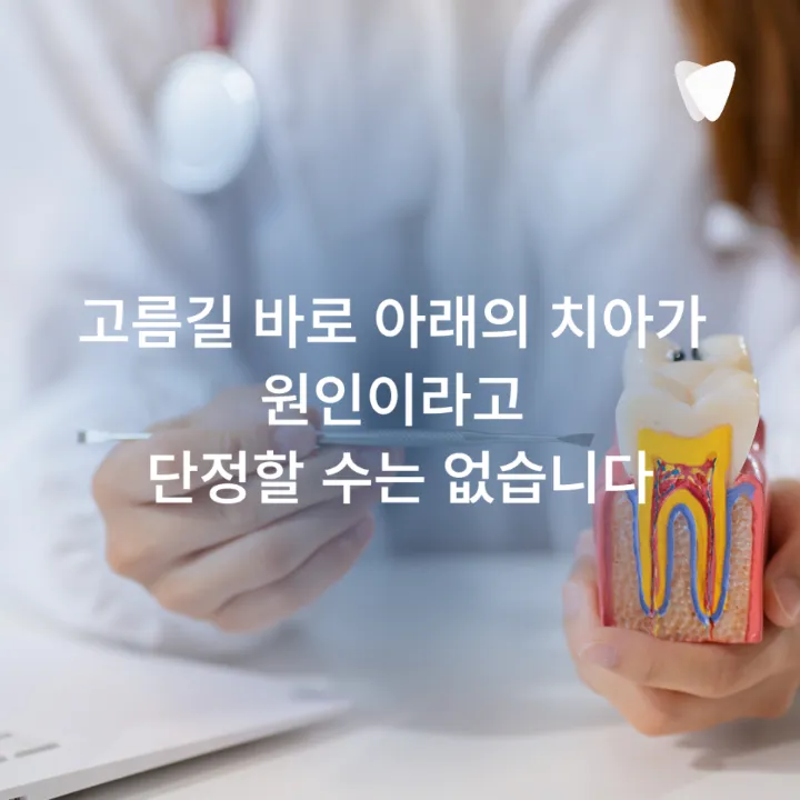 이미지 카드 · 뿌리 끝에 염증이 있는데 고름길이 반복되는 이유
