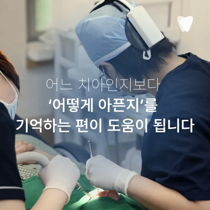 이미지 카드 · 어금니 안쪽이 묵직하게 아픈데 위치가 애매한 이유