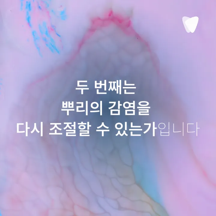 이미지 카드 · 치아를 살릴 수 있을까요? 임플란트와 보존치료를 나누는 기준