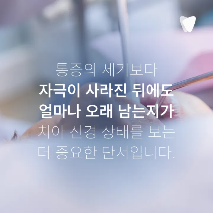 이미지 카드 · 단것을 먹을 때 이가 찌릿한 이유, 충치 단계와 관련 있을까요