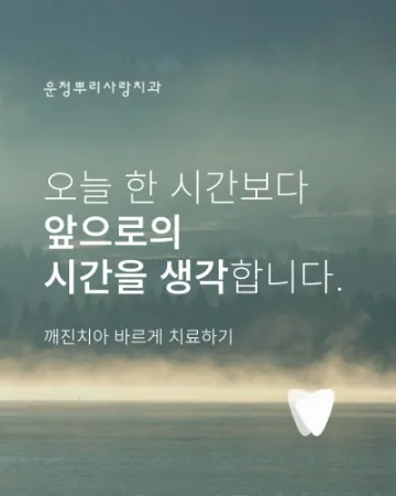 치아가 깨졌을 때 바로 치료하지 않는 이유 — 균열 판단의 기준