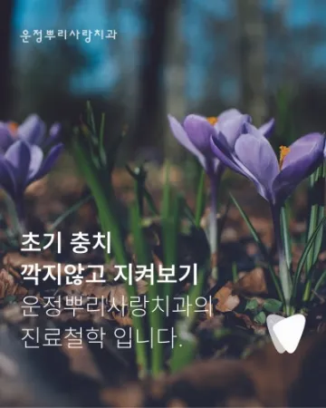 초기 충치 레진 치료, 깎지 않고 지켜볼 수 있는 기준은 무엇인가