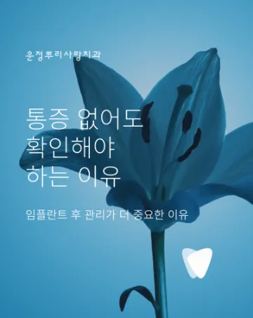 임플란트 후 관리, 자연치아와 무엇이 다른가요 — 통증 없어도 확인해야 하는 이유