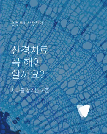 신경치료 꼭 해야 하나요? 치아를 살리는 기준