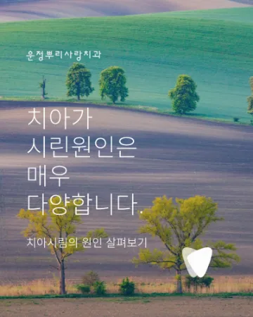 찬물 마실 때 치아가 시린 이유, 충치 때문만은 아닙니다