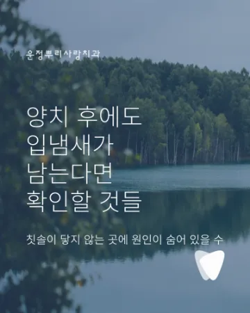 양치해도 입냄새가 남는 이유, 치아와 잇몸에서 꼭 봐야 할 5가지