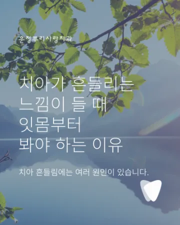 치아가 흔들리는 느낌이 들 때 잇몸부터 봐야 하는 이유