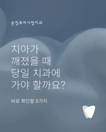 치아가 깨졌을 때 당일 치과에 가야 할까요? 바로 확인할 6가지